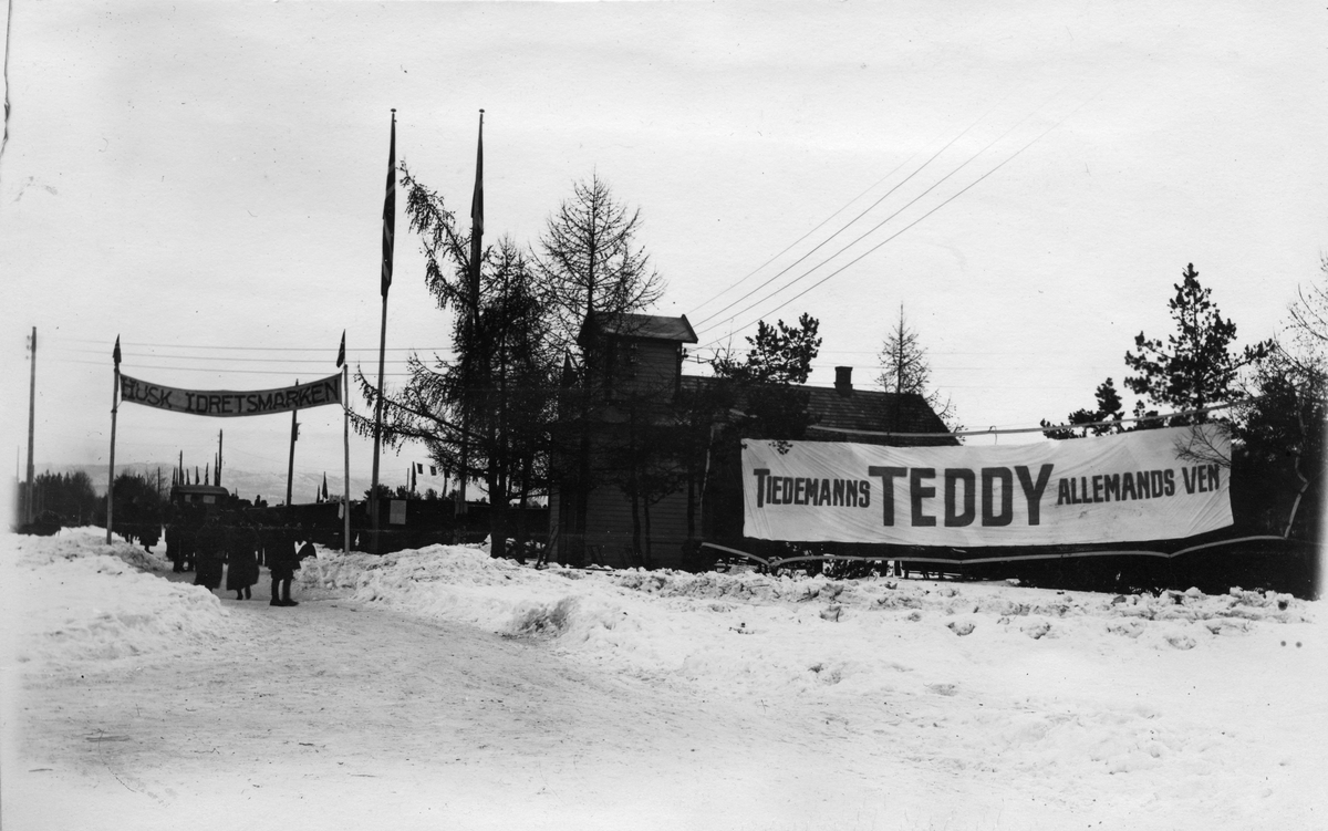 Reklame for Tiedemanns Teddy på fylkesutstillingen i Tønsberg 1925.