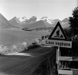 Veiskilt "Laus vegbane" på Ålesundveien.
Fotografert 1958.