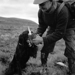 Mann med fulgehund som har skutt en rype.
Fotografert 1957.