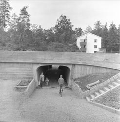 Drammensveien, Lysaker, juni 1959. Undergang.