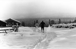 Fra Skjæringfjell høyfjellshotell, november 1965. Skiløpere 