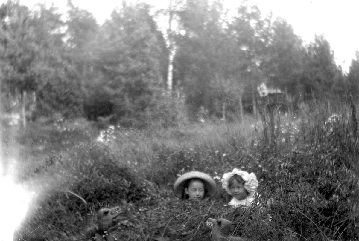 Två flickor i hattar sticker fram sina huvuden över högt gräs.  I förgrunden två motställda dinosaurieliknande figurer.