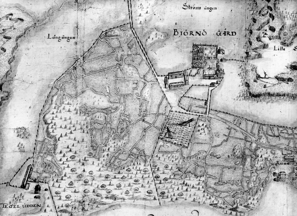 Detalj av karta från 1665 över Björnö, Frötuna socken, Uppland. Inv.nr NM.0145879
