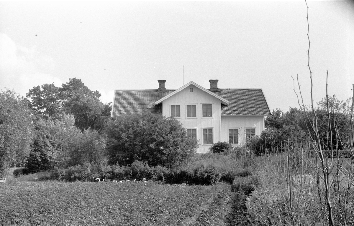 Mangårdsbyggnad, Högsta 3:4, Bälinge socken, Uppland 1976