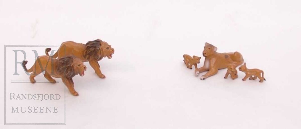 6 Løver; to hannløver, en hunnløve og tre barn - hvorav to står og en sitter.