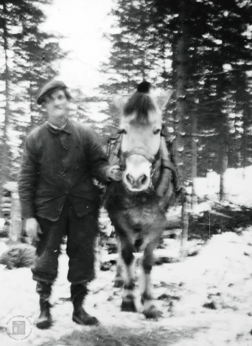 Teodor Høyland på skogsarbeid med hesten. Grindheim Audnedal.