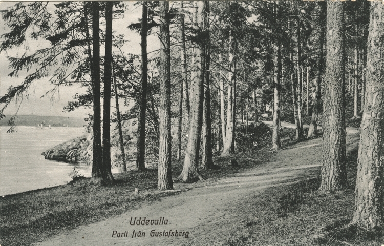 Tryckt text på vykortets baksida: "Uddevalla Parti från strandvägen."
