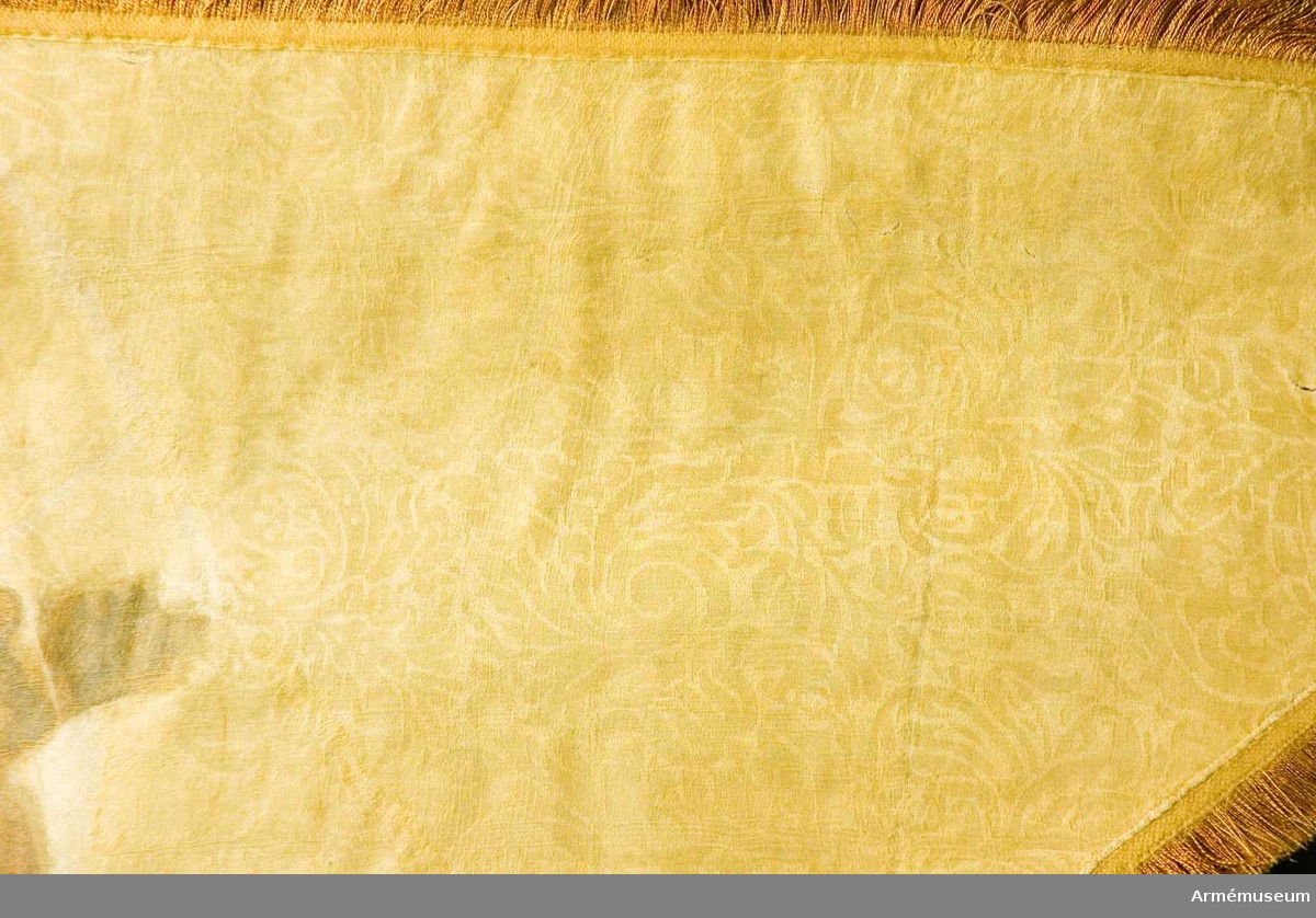 Duk av brandgul damast, varå är målat, omvänt lika å båda sidor ett griphuvud i brunt, krönt av en öppen krona i silver. Runt kanten löper en 45 mm bred frans av gult (?) och rostbrunt silke; duken är fäst vid stången med gult sidenband och förgyllda mässingspikar.

Stång av furu, niosidig med tre refflor och tre förstärkande skenor ovan greppet, nedtill avsågad, i senare tider blåmålad, stången är försedd med en 80 mm hög konisk klack av järn samt med löpande bärring. Stång 2750 mm, till greppet 460 mm, greppet 190 mm, till duken 1040 mm. Diameter upptill 32 mm, nedom duken 50 mm, ovan greppet 62 mm i greppet 55 mm. Spets av förgylld mässing, bladet snedböjt.