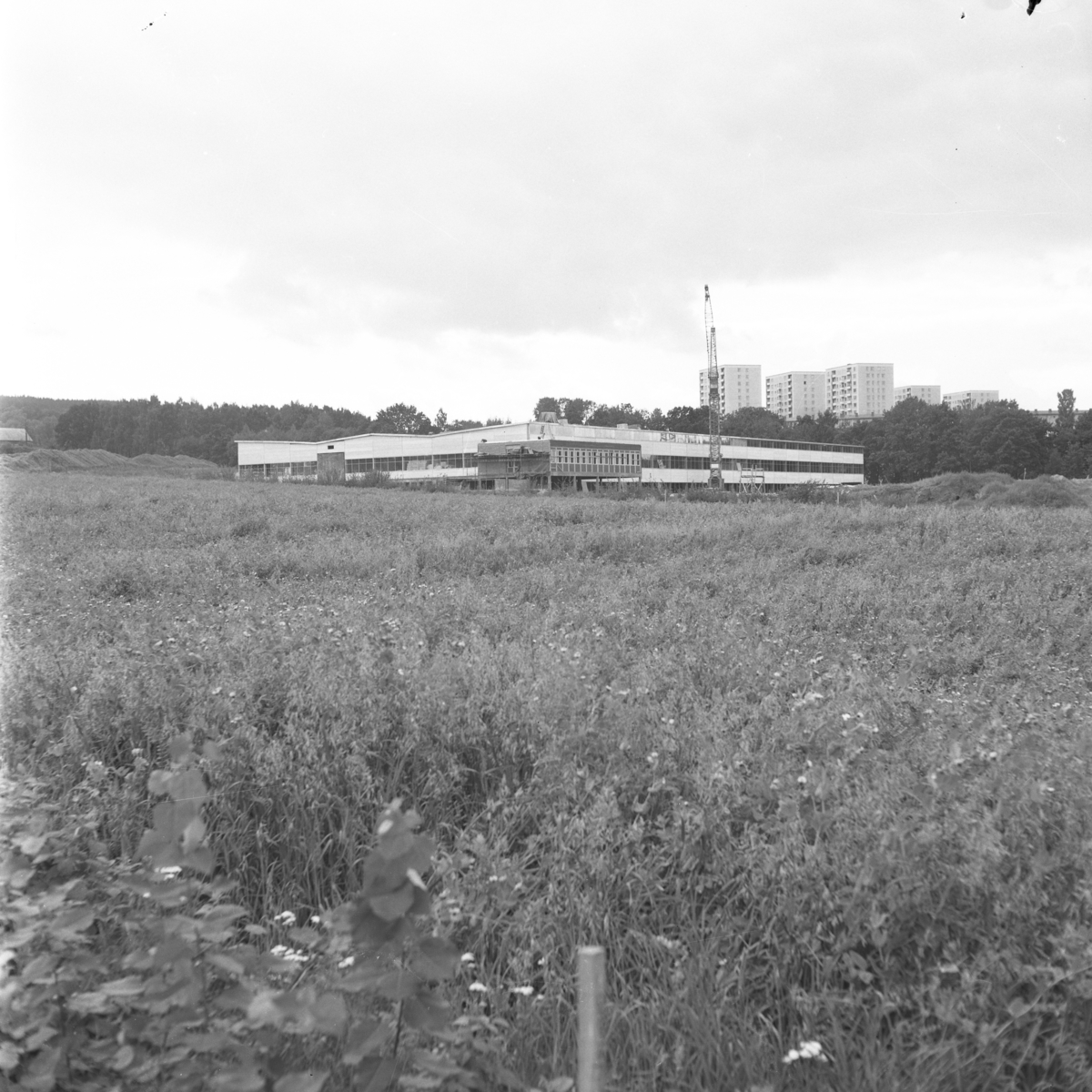 Utmed Birkagatan byggde Junekarosserier AB en stor industrilokal år 1963. Företaget tillverkade karosser för mindre lastbilar och husvagnar. Nybyggnaden låg alldeles intill gränsen mellan Jönköping och Huskvarna kommuner, innan sammanslagningen år 1971.