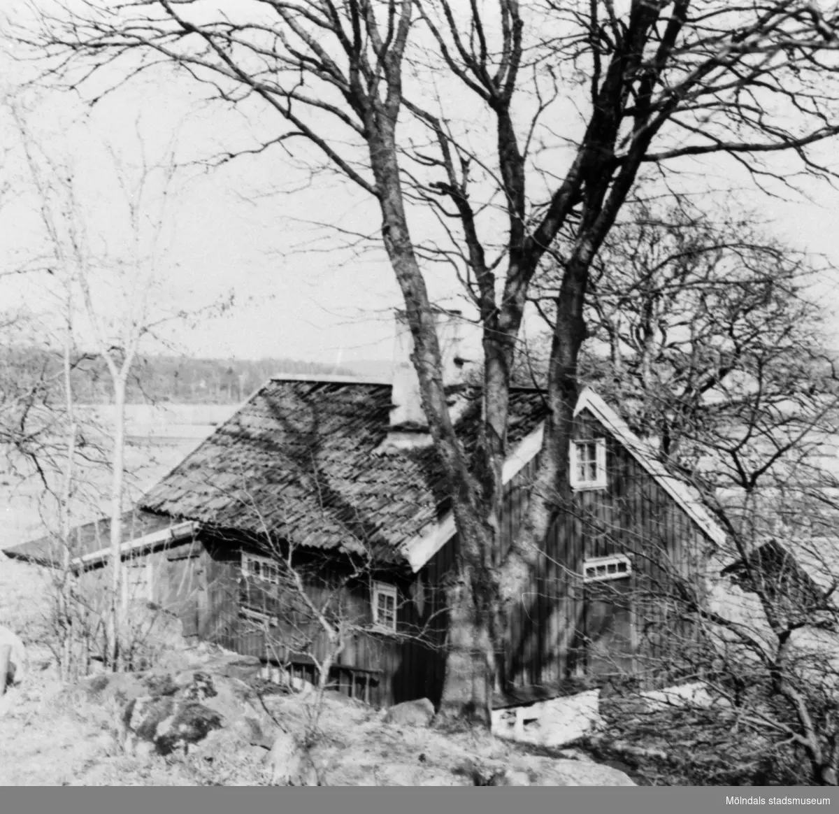 "Backmans" stuga i Annestorp, 1951.
