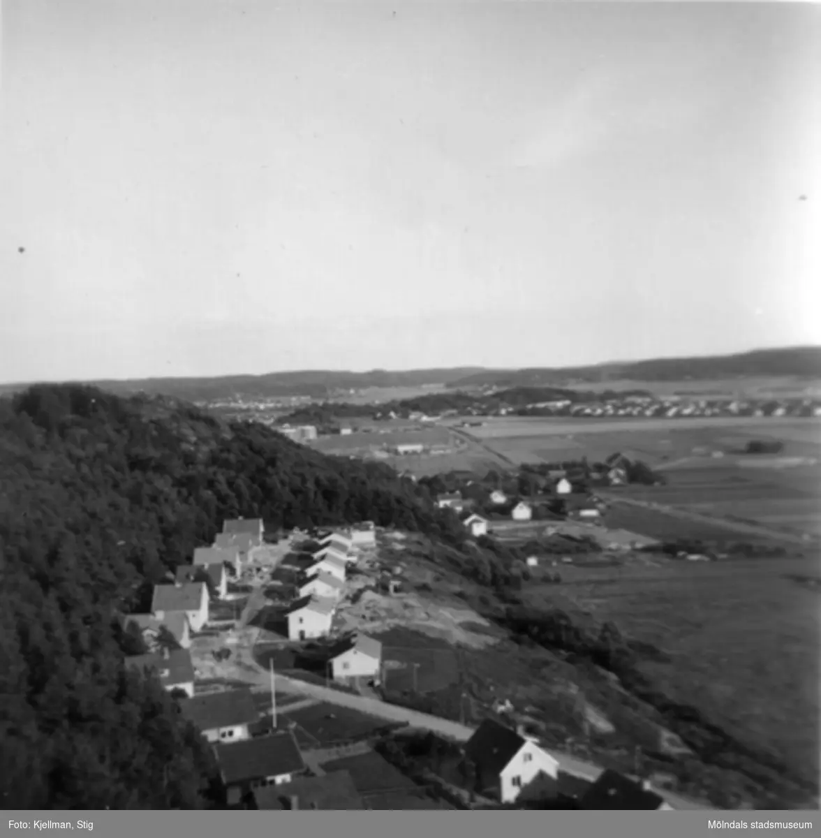 Utsikt från och över en del av Safjället sommaren 1956.
