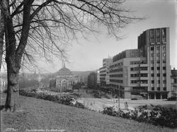 Stortingsgaten fra Abelhaugen.