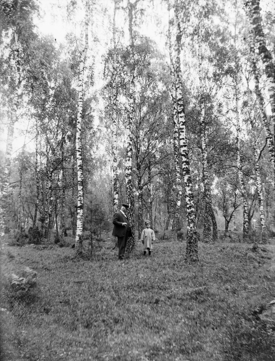 Frithiof och Erik Liljefors i Visbohammars hage, Gnesta, Södermanland 1900 - 1901