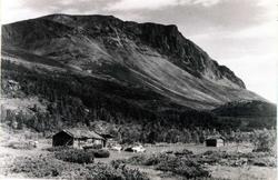 Fekjastølane ii Hemsedal  1944. Skogshorn i bakgrunnen