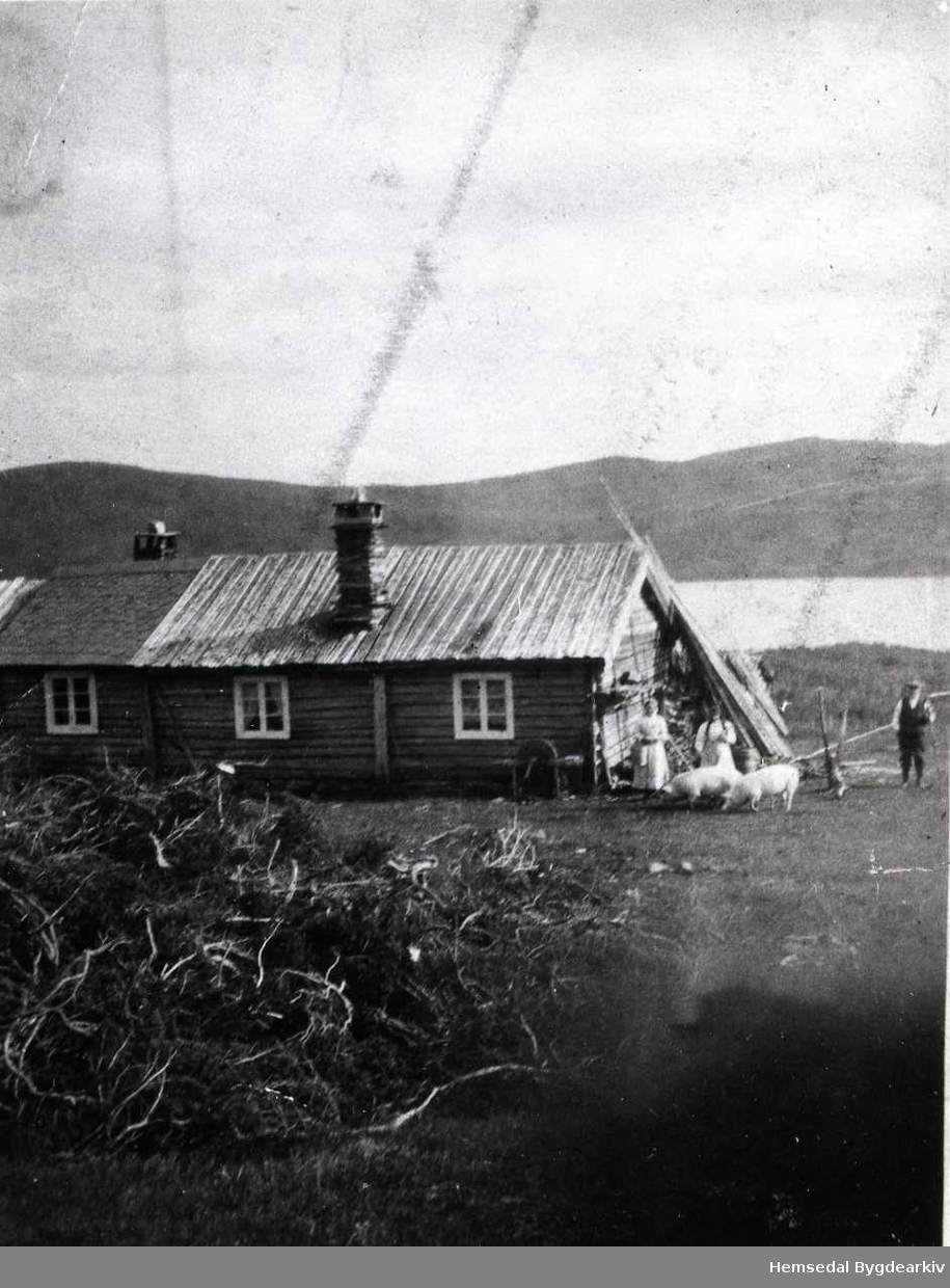 Biletet er teke på stølen Sørehjallen i Hemsedal i tidsrommet 1910-1920.
Personane er frå venstre: Mari Grøthe, Kari Grøthe og Odd (Klukkarn) Grøthe.
I bakgrunnen ser ein Storevatnet.