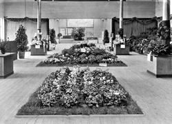 utstilling, Østfoldutstillingen, oversiktsbilde, blomster,Ø