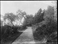 Borrgeaard Hovedgård i Sarpsborg. Parti fra parken, hovebygn