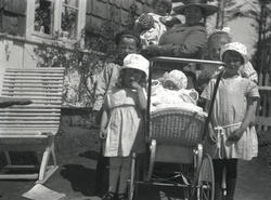 Holmeegenes, div. snapshots tatt på Holmeegenes.