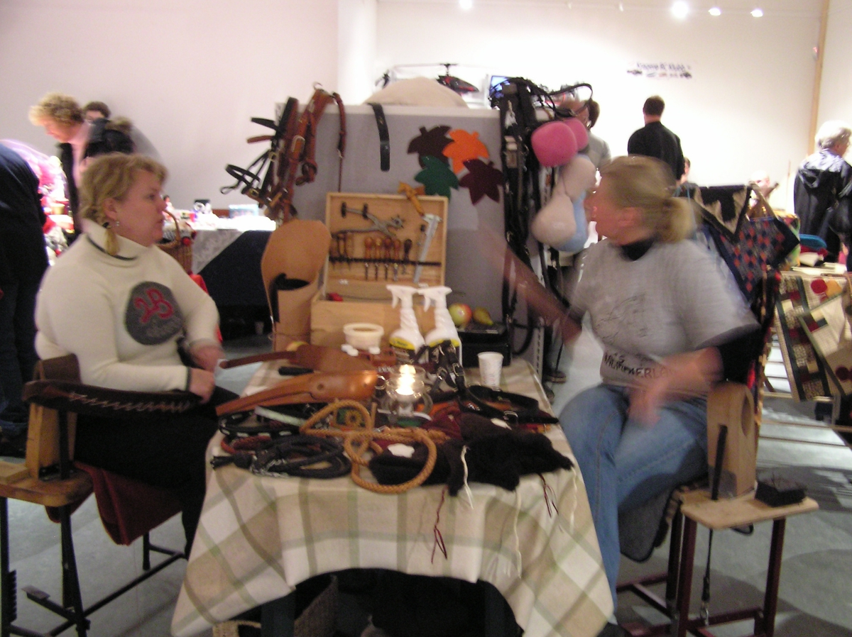 Hobbydag på Berg-Kragerø Museum. Dato 22.10.2006
