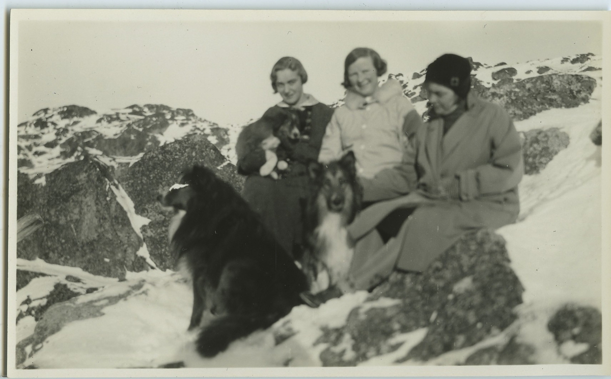 '3 kvinnor sitter på snöklädd klippa tillsammans med 3 hundar. Kvinnan till vänster är Mrs Else Waldsoe.  Kläder. Klädsel. ::  :: Enligt kuvertet som negativet låg i ''Trip to W-Greenland XIII''. ::  ::  :: Ingår i serie Fotonr. 5217:1-103. Se även hela fotonr. 5202-5218 med bilder från Frits Johansen.'