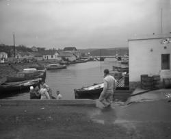 Vardens arkiv. "Bilder fra Kragerø" 14.07.1953