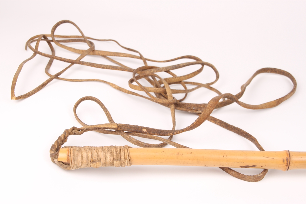 En bambusstav med lærrem. Lærremmen er festet til staven med tråd som er surret rundt toppen av staven. Første delen av svepen er flettet.