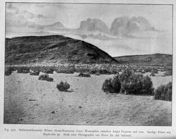 Plantegeografie. Hanna Resvoll-Holmsen 23/3 22.