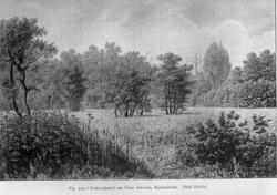 Plantegeografie. Hanna Resvoll-Holmsen 23/3 22.