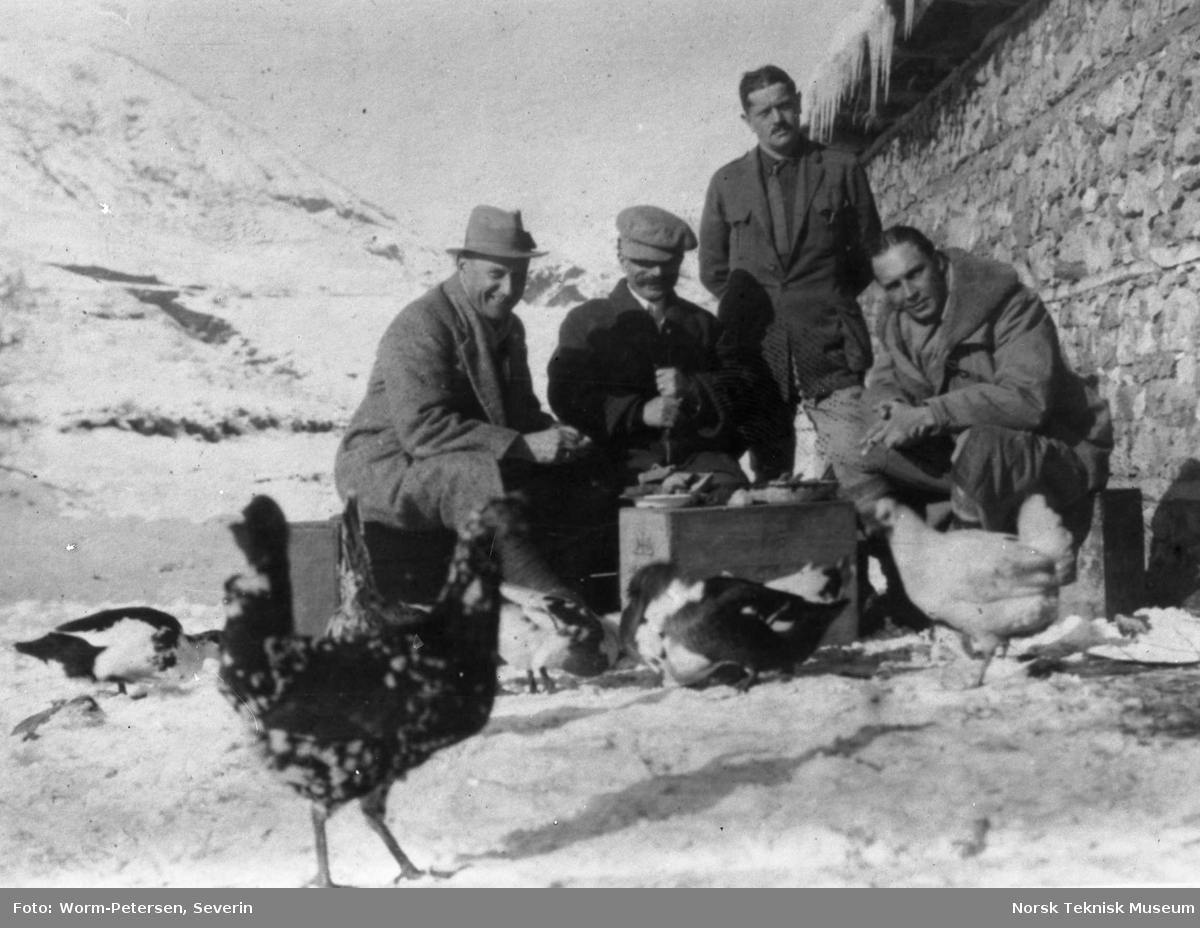 Fire menn og høner, Albania
