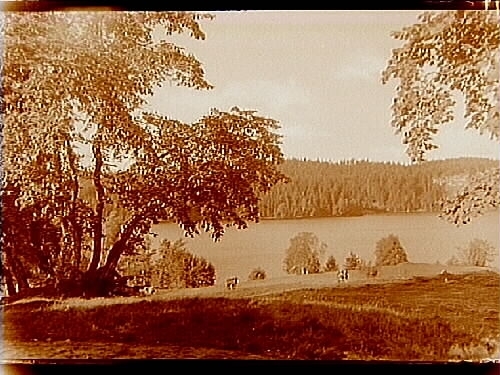 Västra Ingsjön som ligger vid gränsen till Bohus län, Hallands och Älvsborgs län.
Nr: 89.
