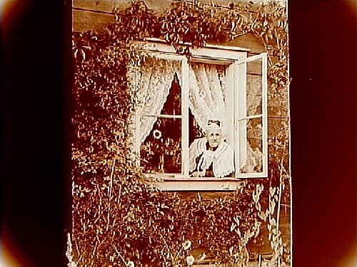 En kvinna i fönstret.
Fröken Agneta Årmann