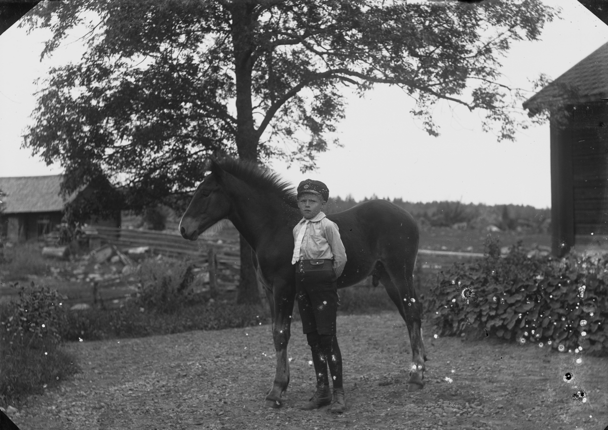 En pojke med en häst.