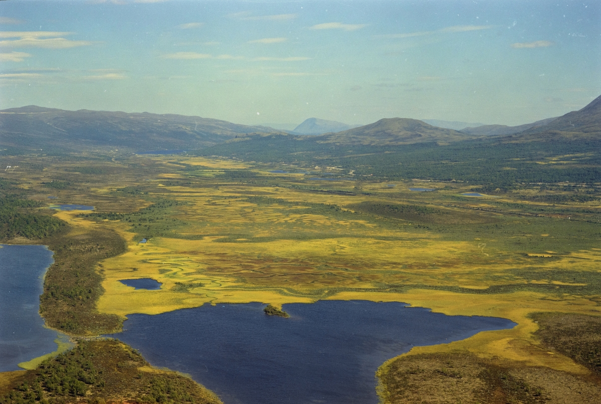 Flyfoto, fjellandskap med Fokstugumyre og småvann, mulig Horrtjønnin, Dovrefjell.