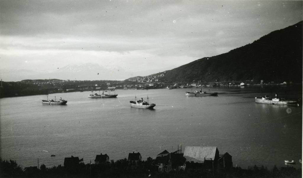 Narvik havn med malmbåter som venter på last. Hus på Ankenes i forgrunnen,