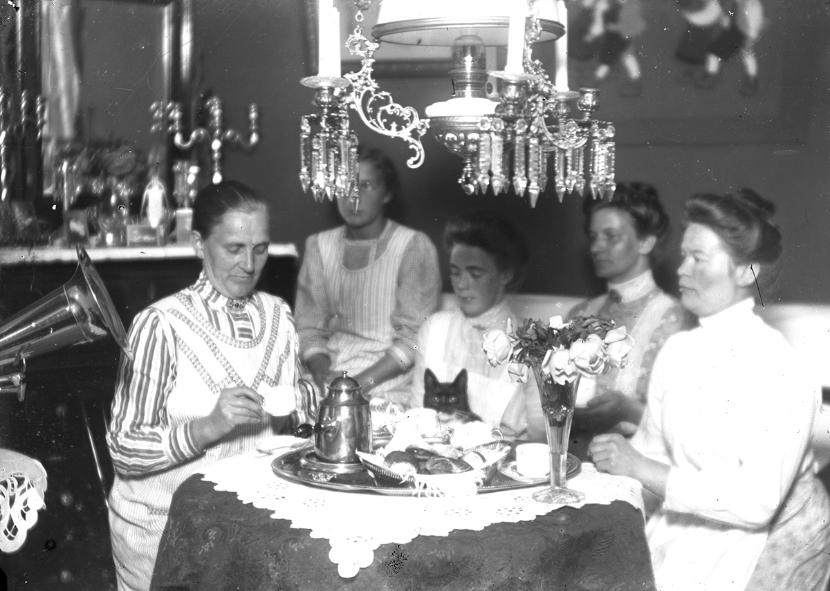 Gruppbild av fem kvinnor (och en katt) runt ett kaffebord.