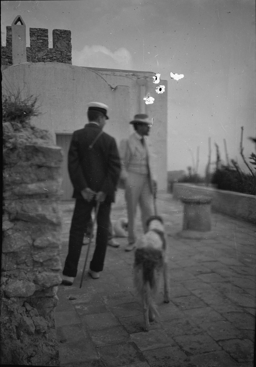 Drottning Victorias bilder. Två män med en hund. Troligen Axel Munthe till höger.