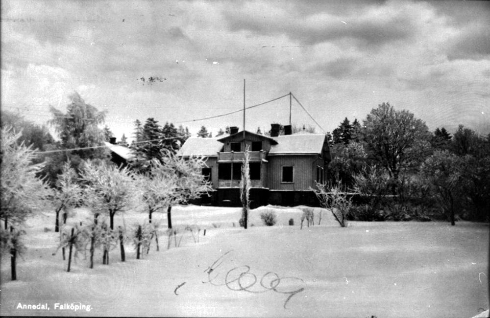 Annedals handelsträdgård 1950-talet.