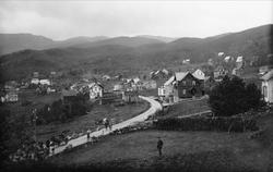 Seljestad. Hester og folk på veien til venstre i forgrunnen,