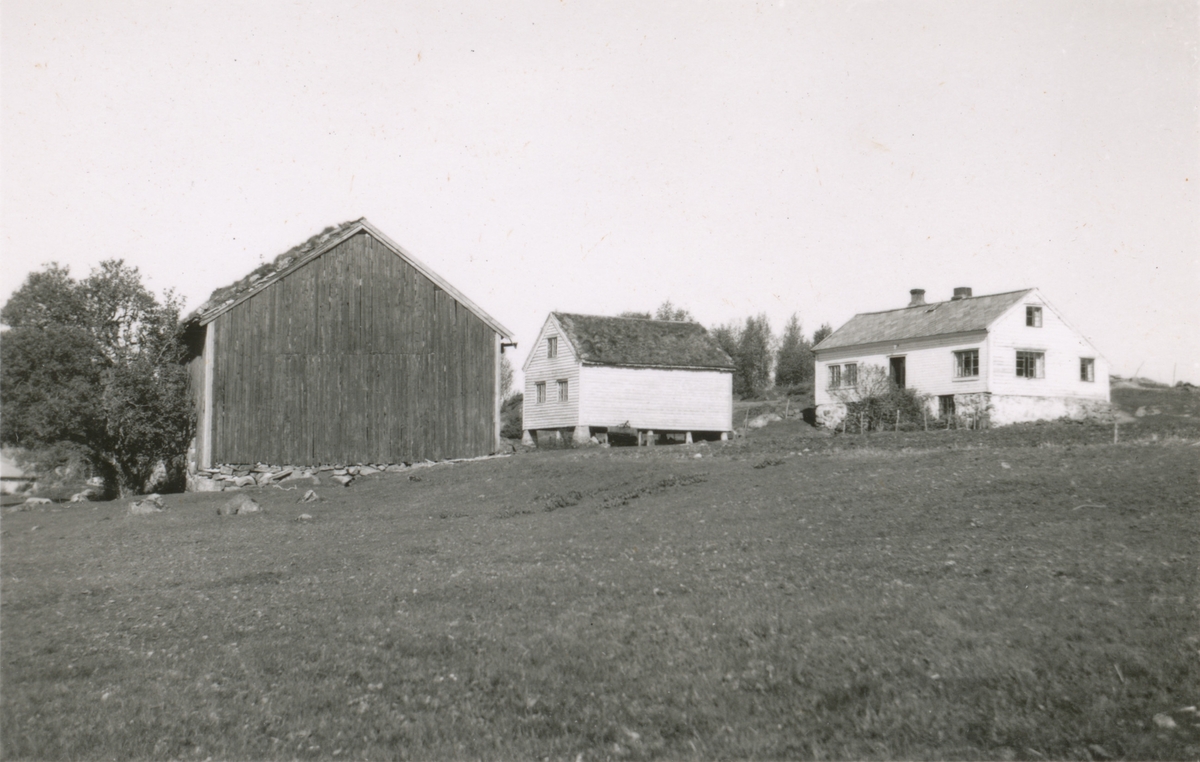 Et gårdsbruk fra Borgund, med stuehus, stabbur og låve.