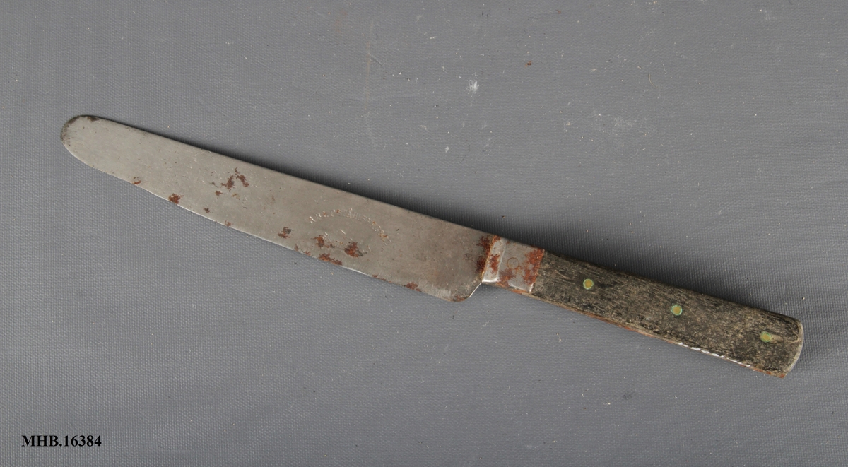 Bordkniv med avrundet blad og treskaft.