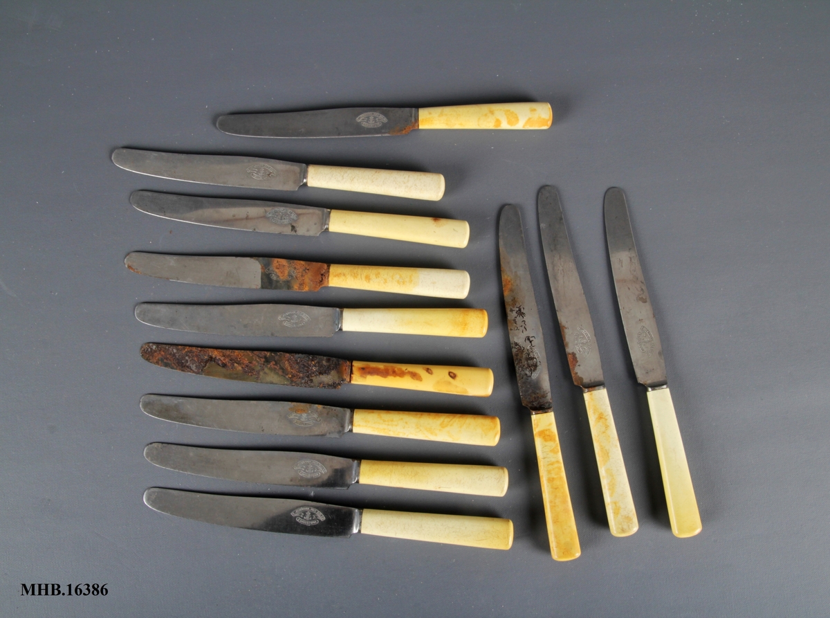 12 Bordkniver med avrundet blad og hvitt skaft.