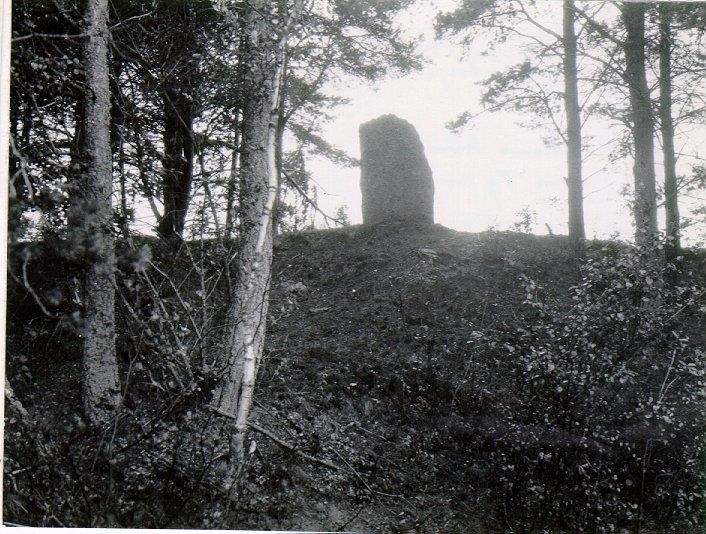 "Runehall", runsten vid Stommen i Håkantorp.