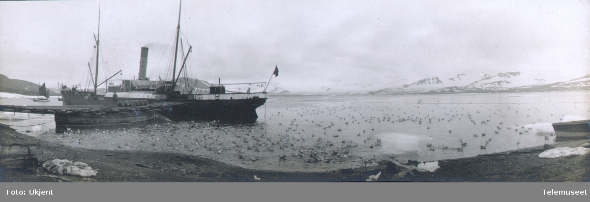 Heftyes reise til Svalbard. Fugleliv Green Harbour 23.07.1911. Skip