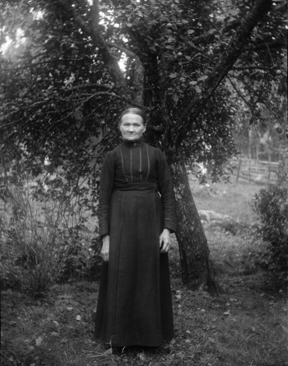 Äldre kvinna i trädgården, 1910-tal - Upplandsmuseet / DigitaltMuseum