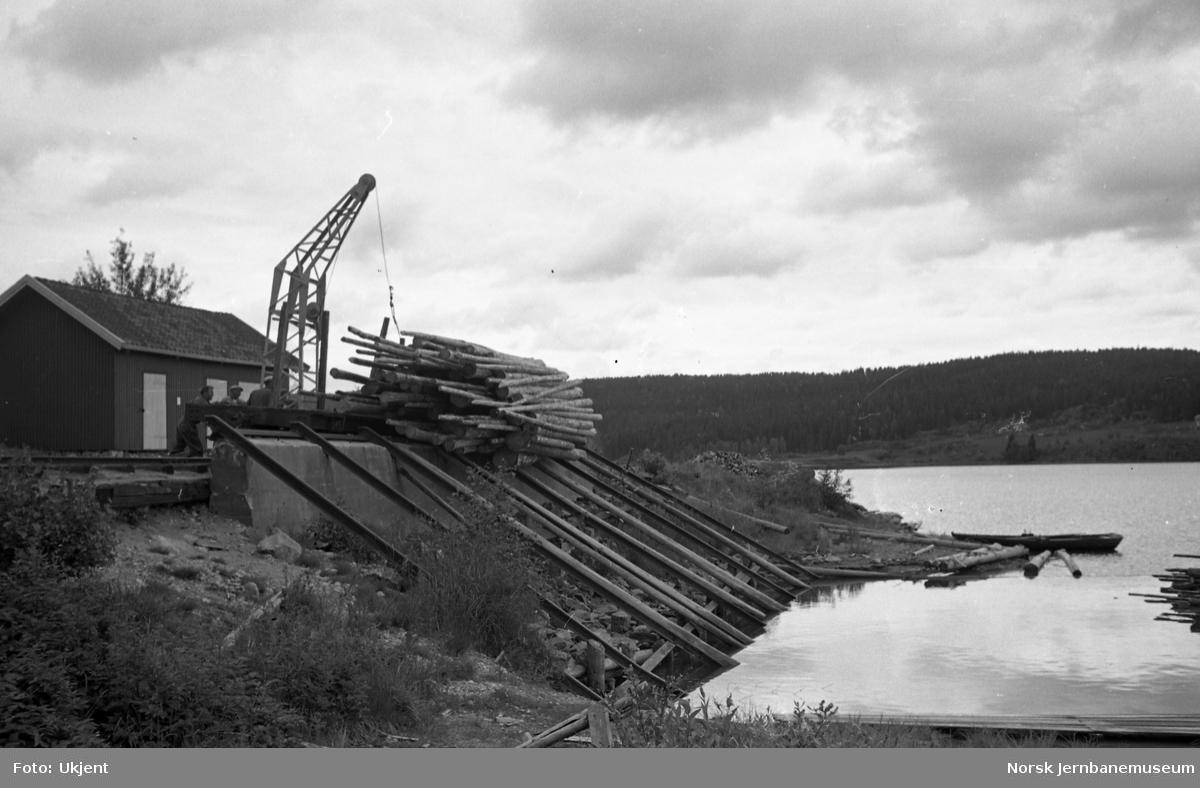 Lossing av tømmer på Skulerud stasjon