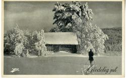 Julekort. Ubrukt. Fotografi. Vinterlandskap. En skiløper på 