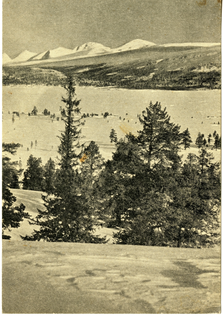Postkort. Snødekt fjellandskap i Rondane.