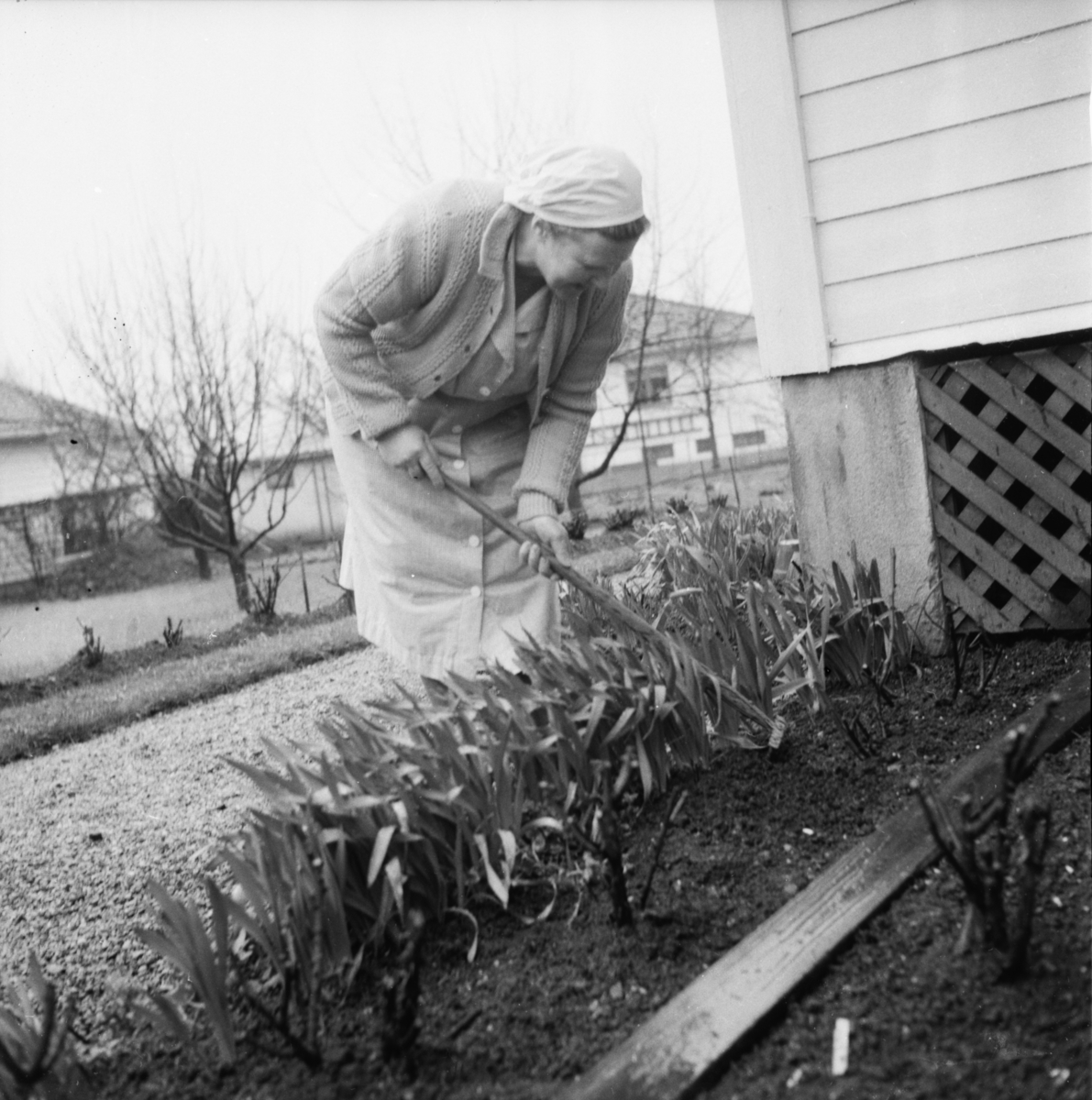 Vardens arkiv. "Vår-reportasje"  06.05.1954