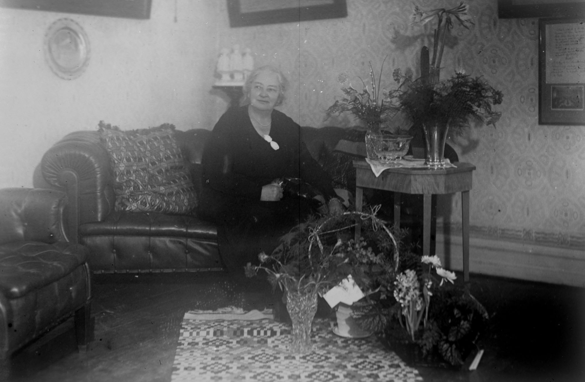 Riksdagsman Pålssons mor Anderslöv, januari 1938, 12902.