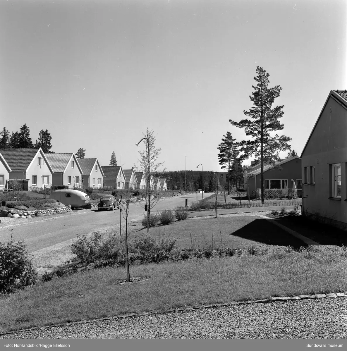Villaområde i Haga, ovanför Hagaskolan. Bilderna är från husen kring korsningen Svedjegatan och Älgstigen.